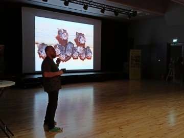 Noc nietoperzy w Zapolicach, 